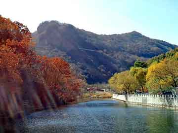 新澳天天开奖资料大全旅游团，挖掘鸡